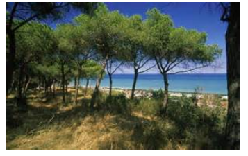 PINETO, PROVINCE OF TERAMO, ABRUZZO