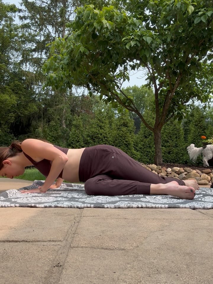 steal my inner thigh, oblique, and arm Pilates-inspired barre flow! You don’t need any equipment, but cute dogs help! Try 8 of each move (both sides) as a quick finisher or 3 sets of 8 for a ~15 min workout!