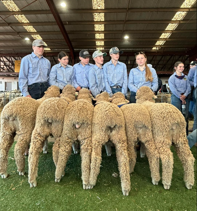 Rabobank National Merino Show