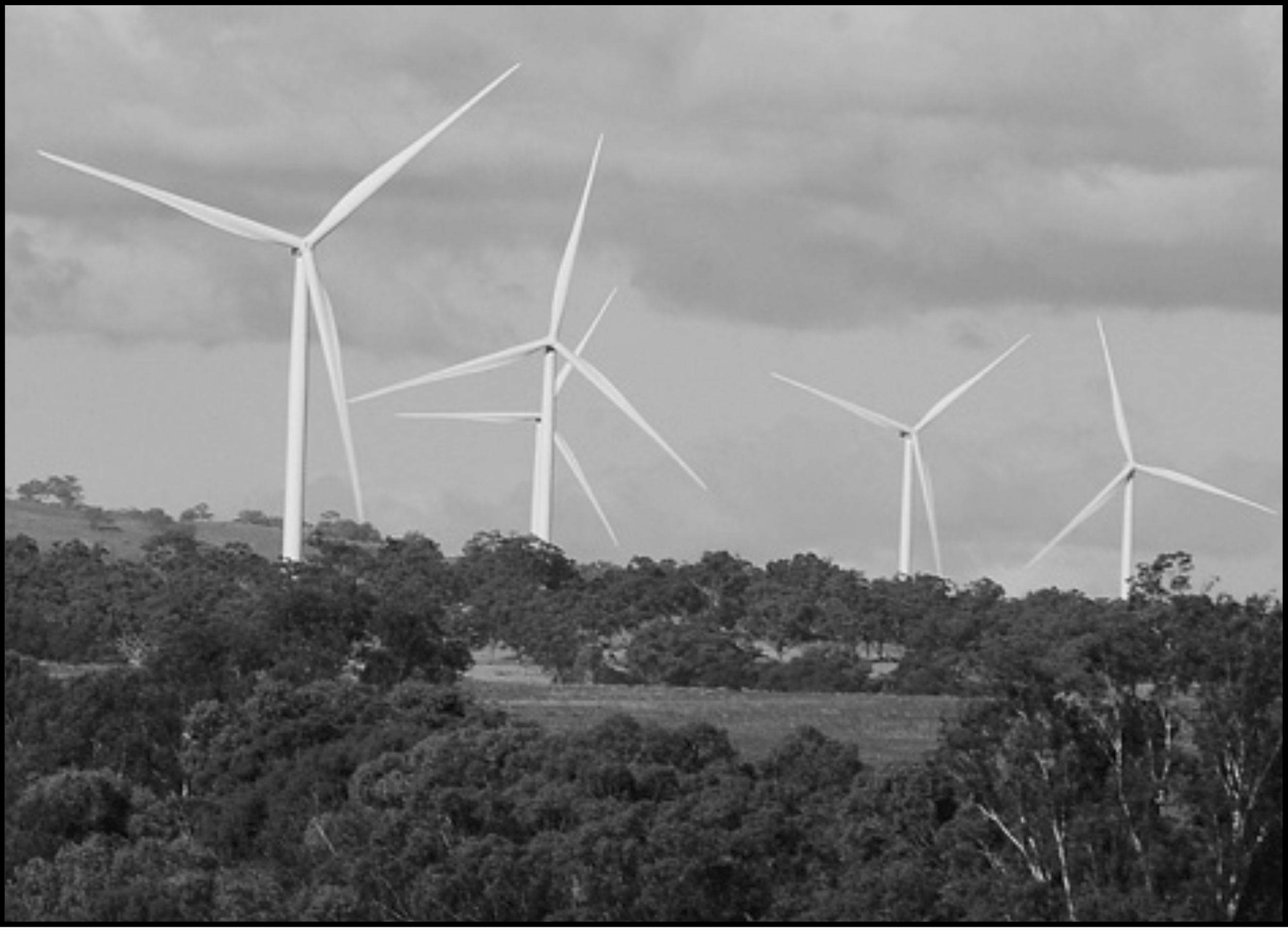 Bill shock for farmers on renewables