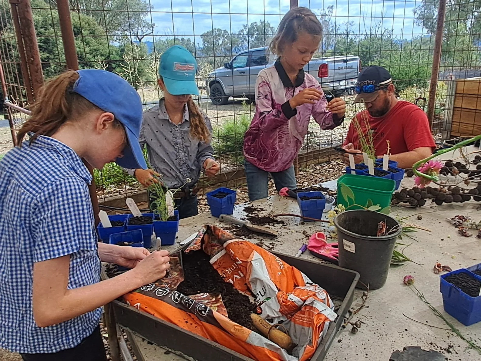Nature Spotters unearth Wellington’s natural wonders
