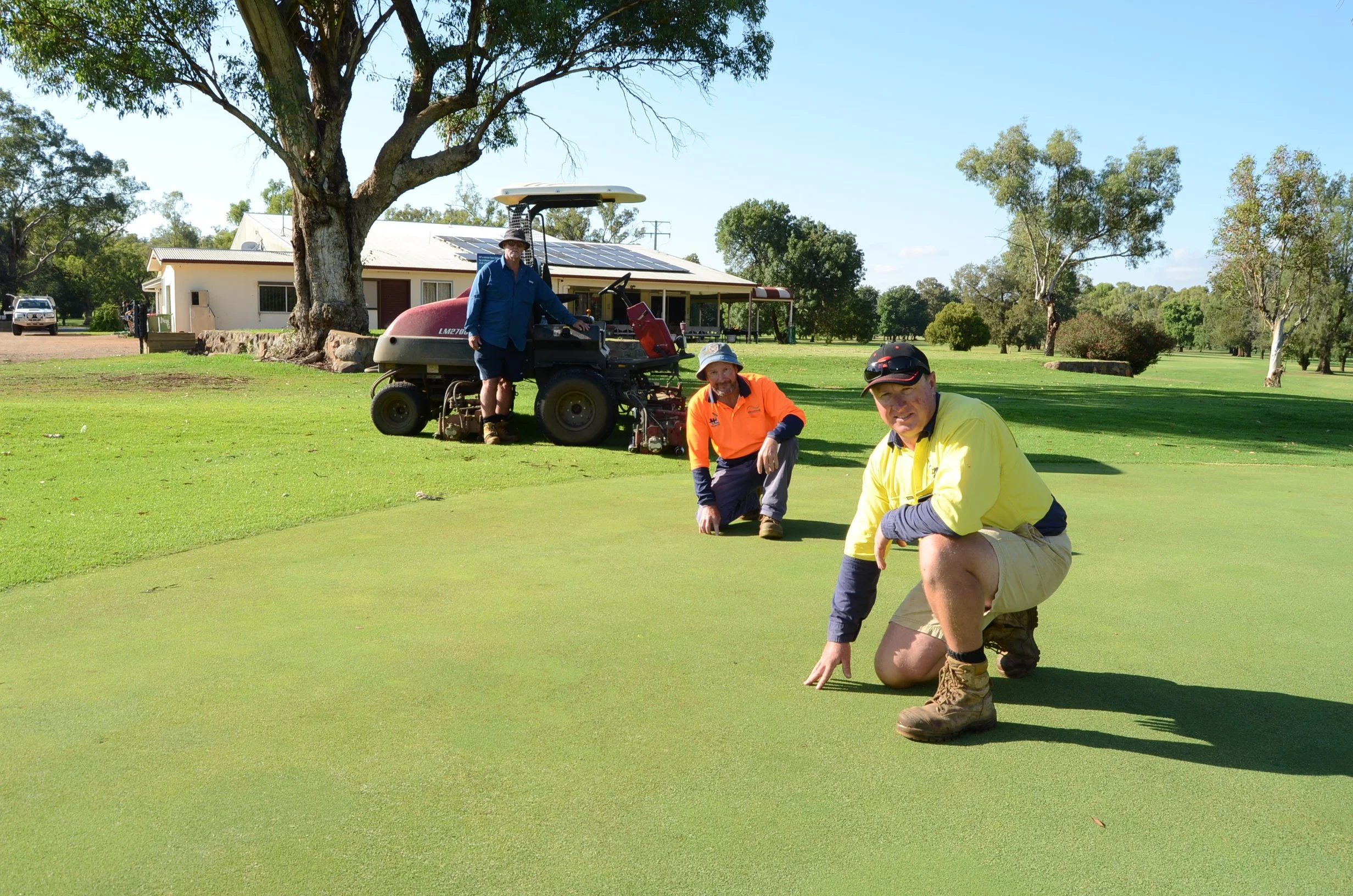 Hundred years on the green