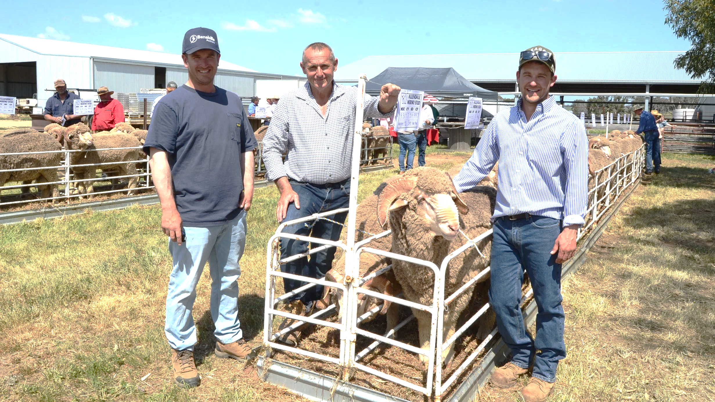 Allendale Merinos’ 76 year history is being handed on