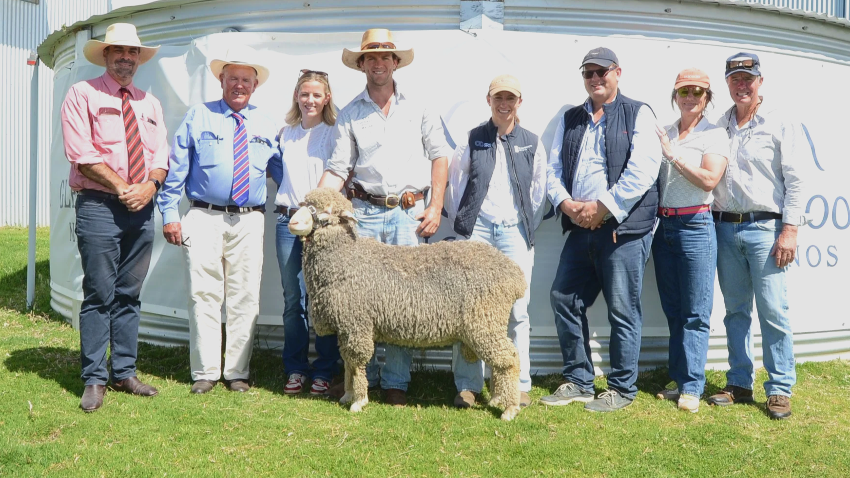 Glenwood Merino rams top at $9000 - ave $3289