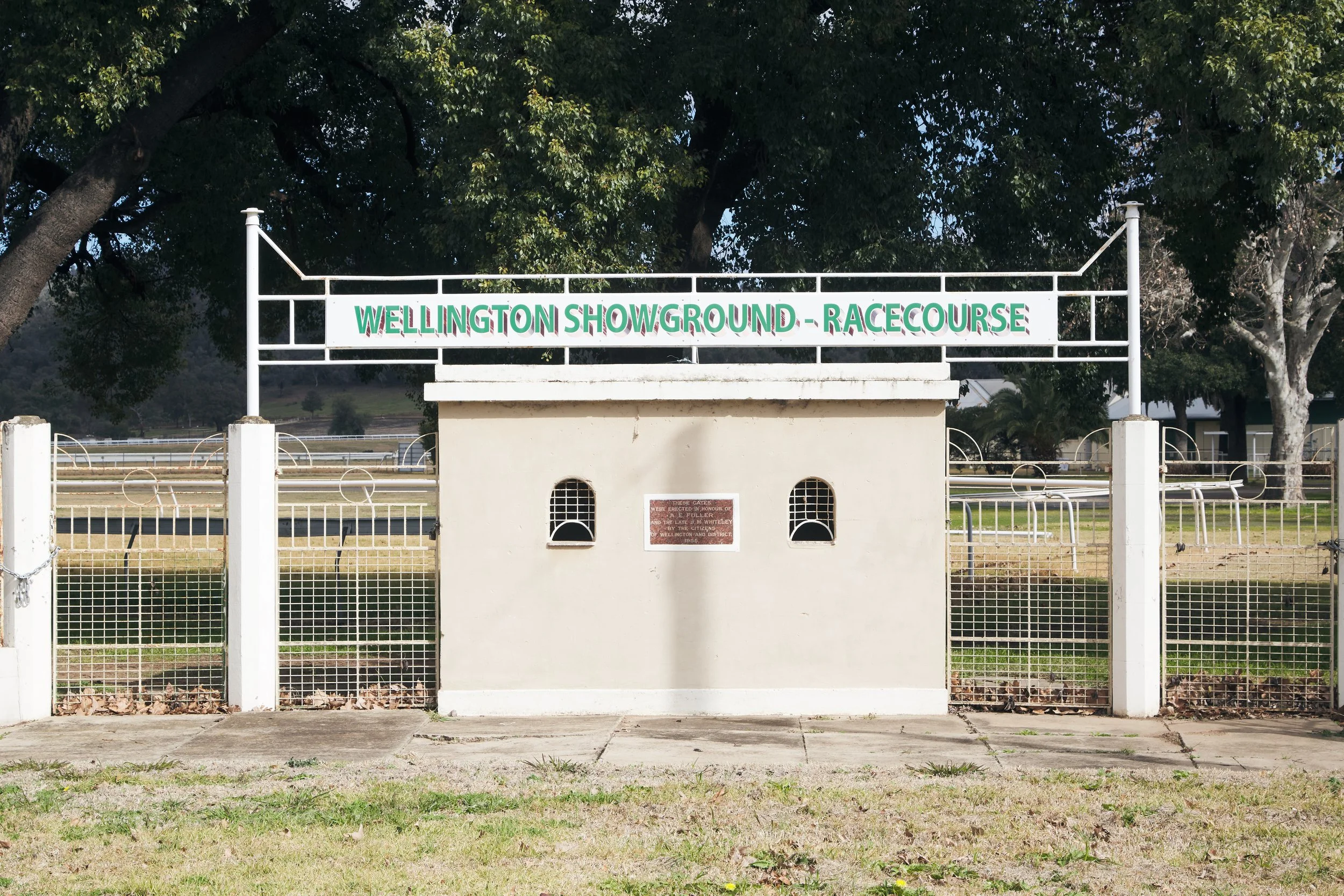 Wellington Showground/Racecourse