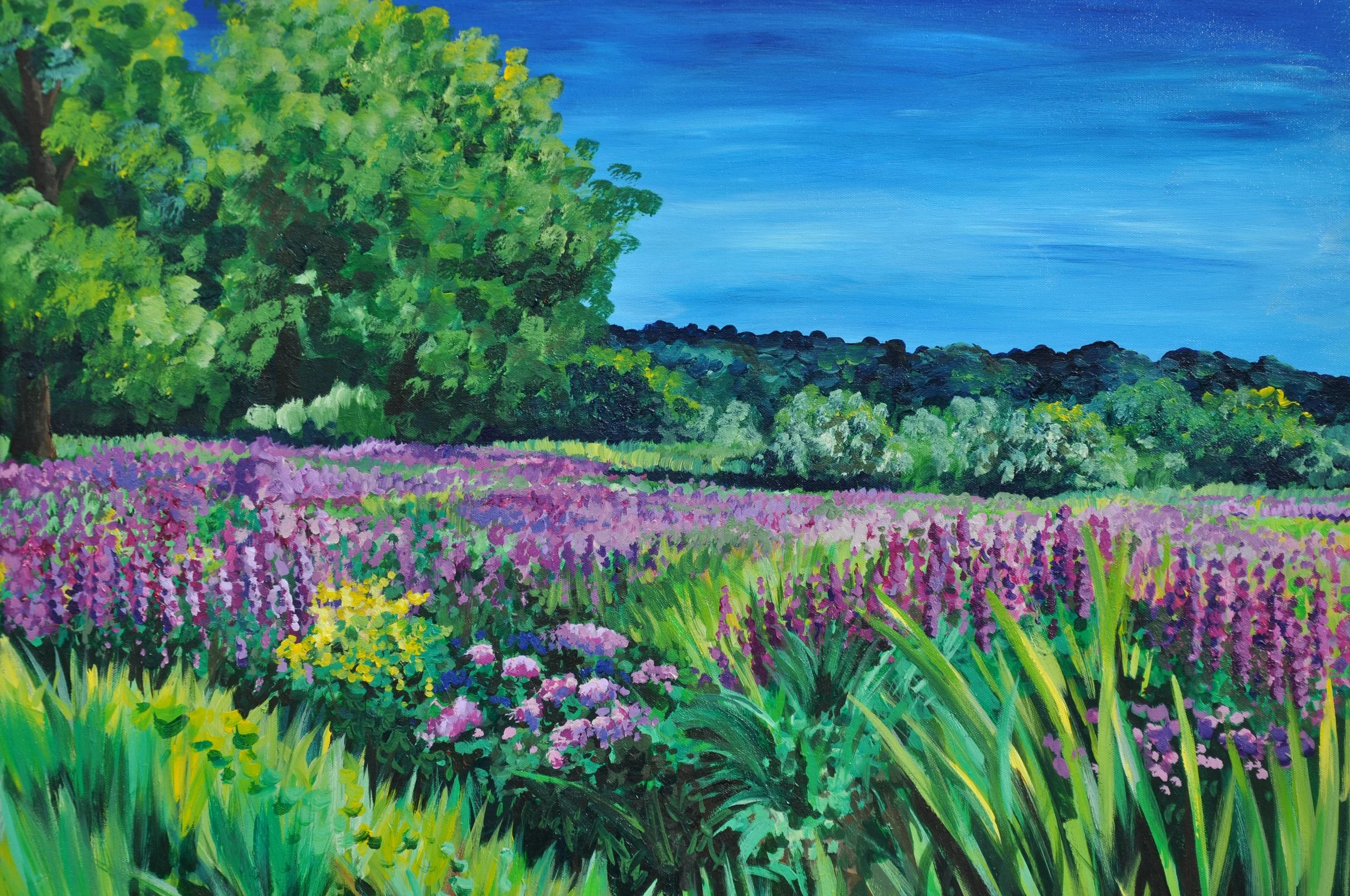 Consider the Wildflowers: Painting to Quiet my Heart