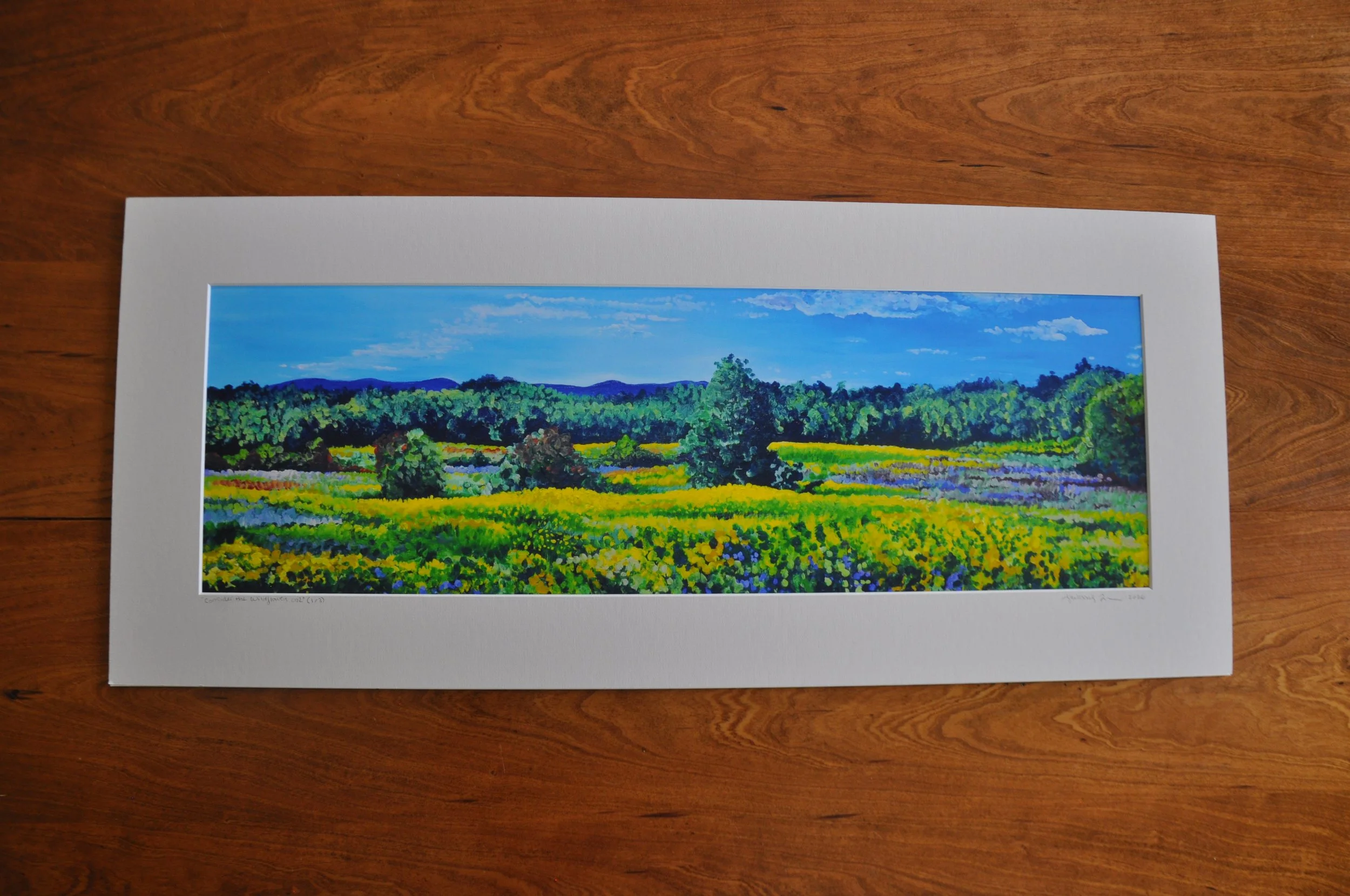 Limited Edition Print - "Consider the Wildflowers 002"