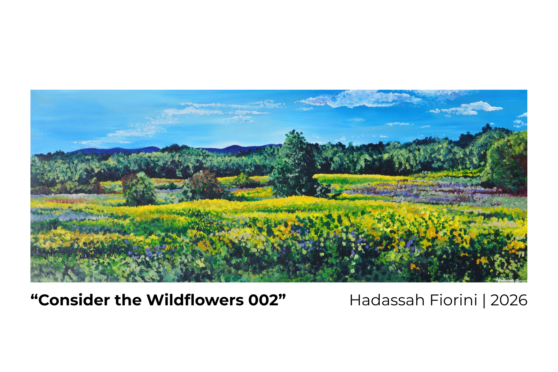 “Consider the Wildflowers 002  Hadassah Fiorini  2026.png