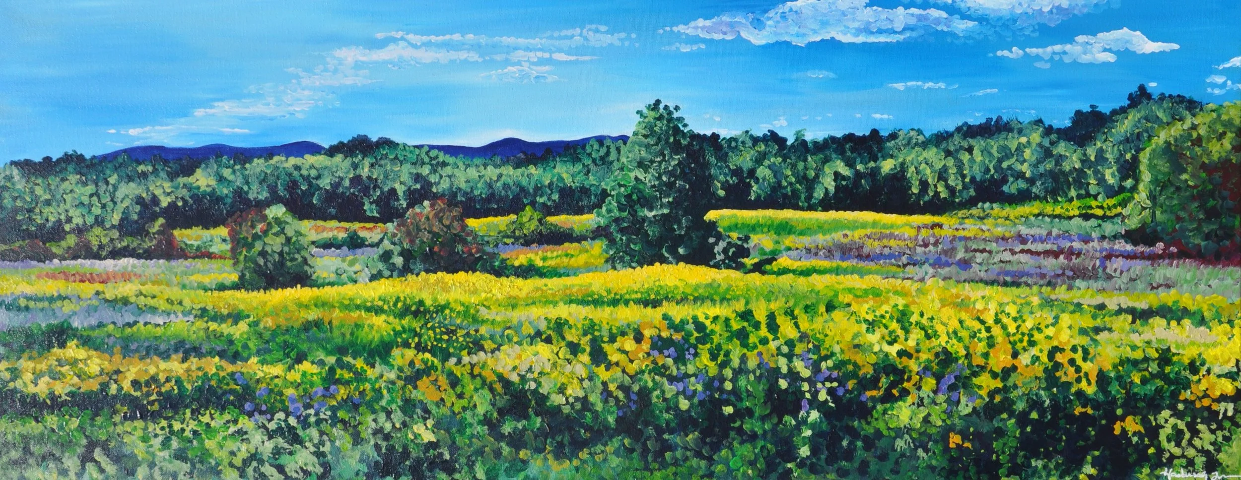 "Consider the Wildflowers 002"