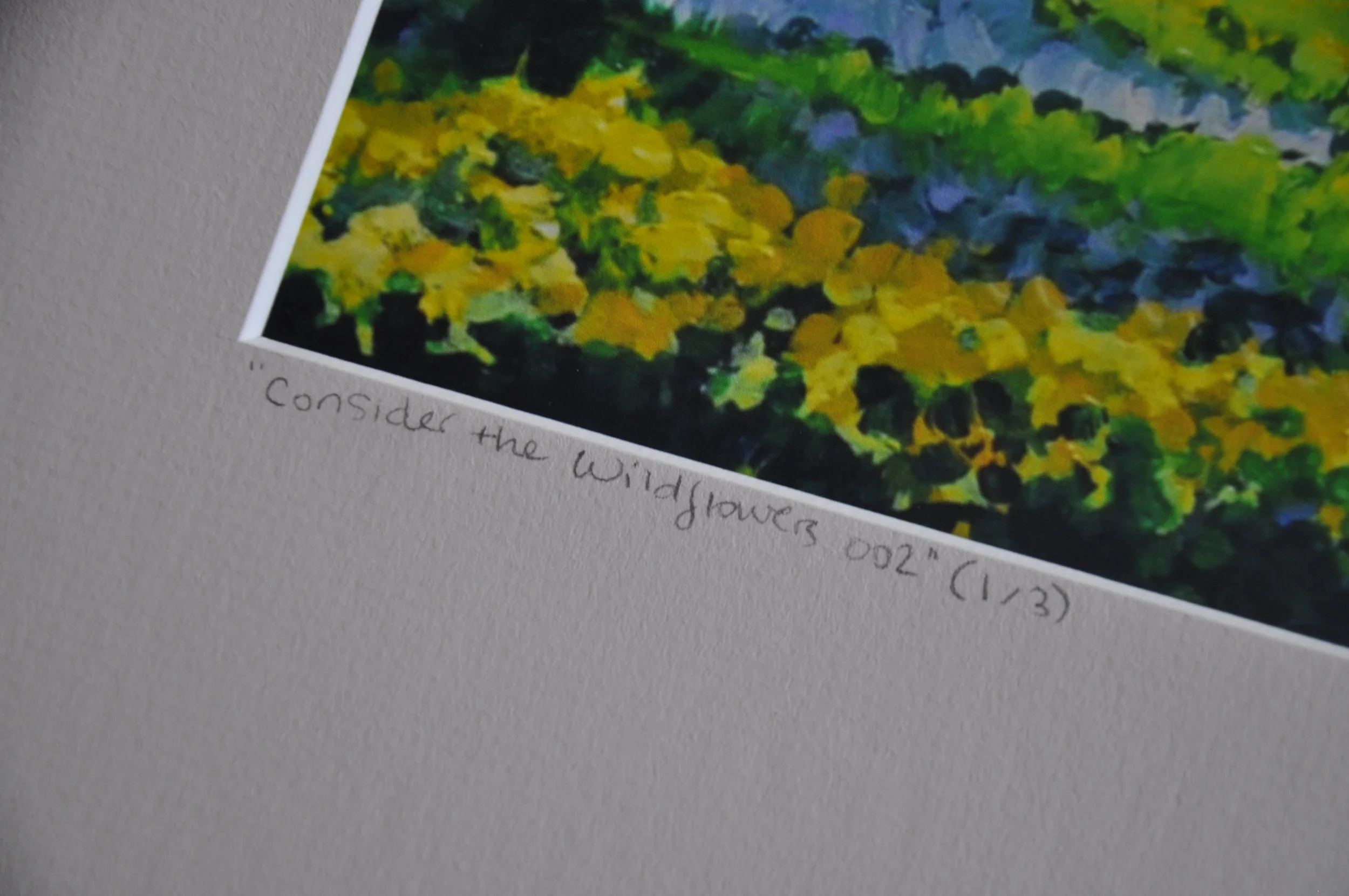 Limited Edition Art Print
