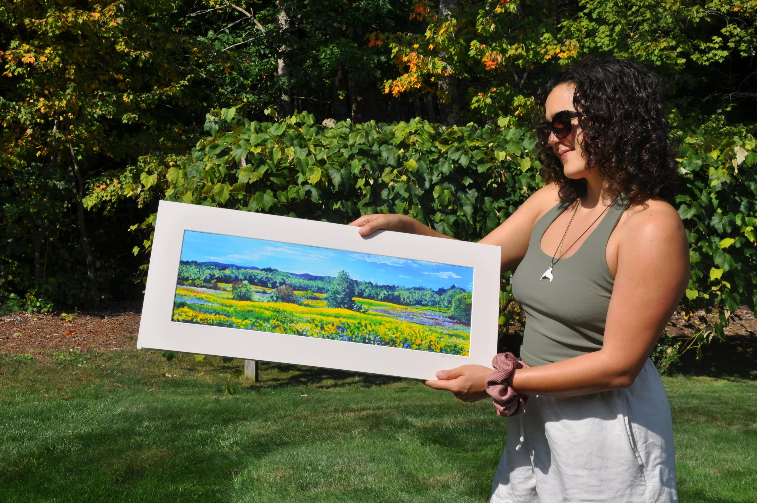 landscape holyoke range art