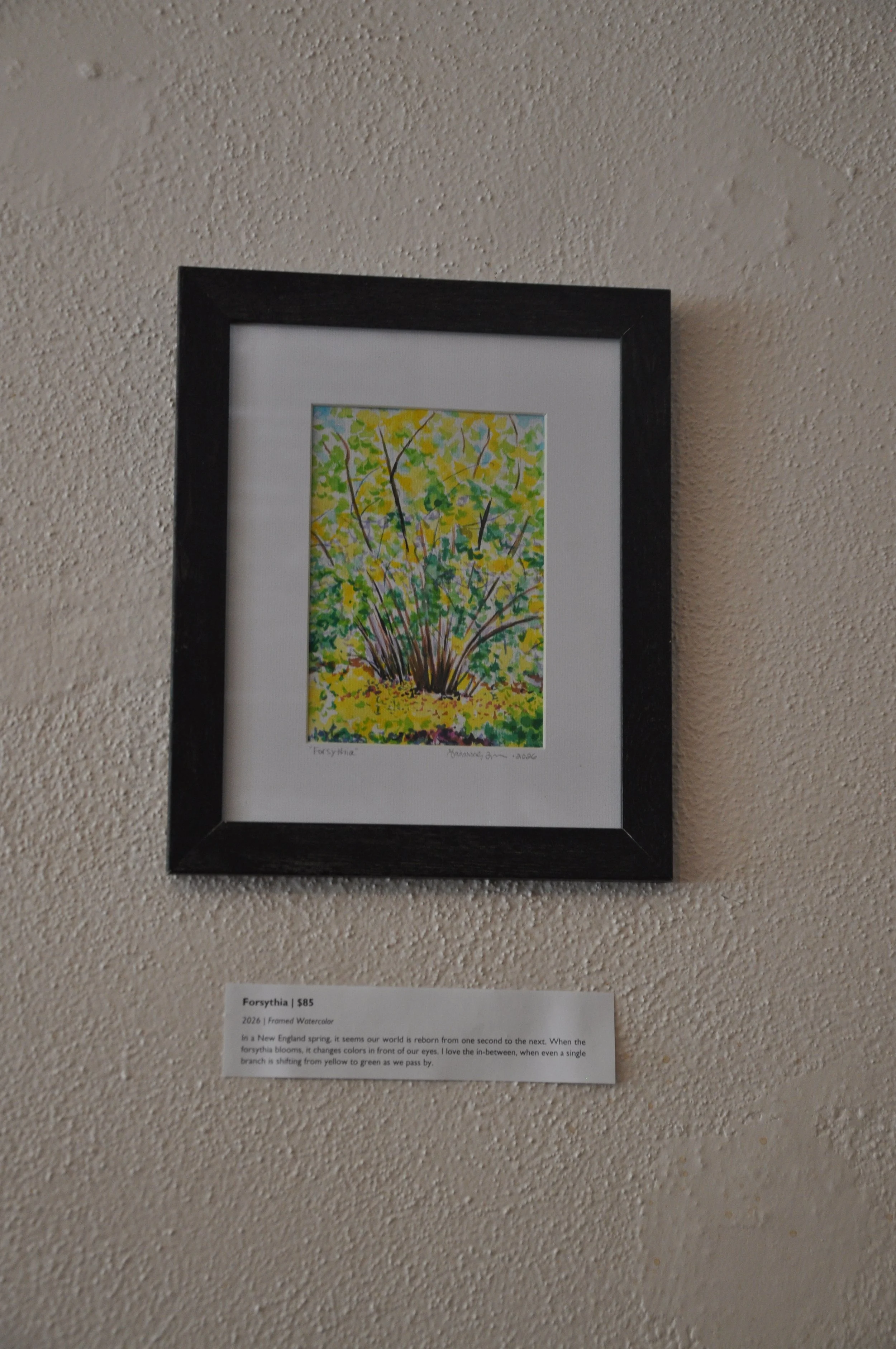 Forsythia Original Watercolor Painting 