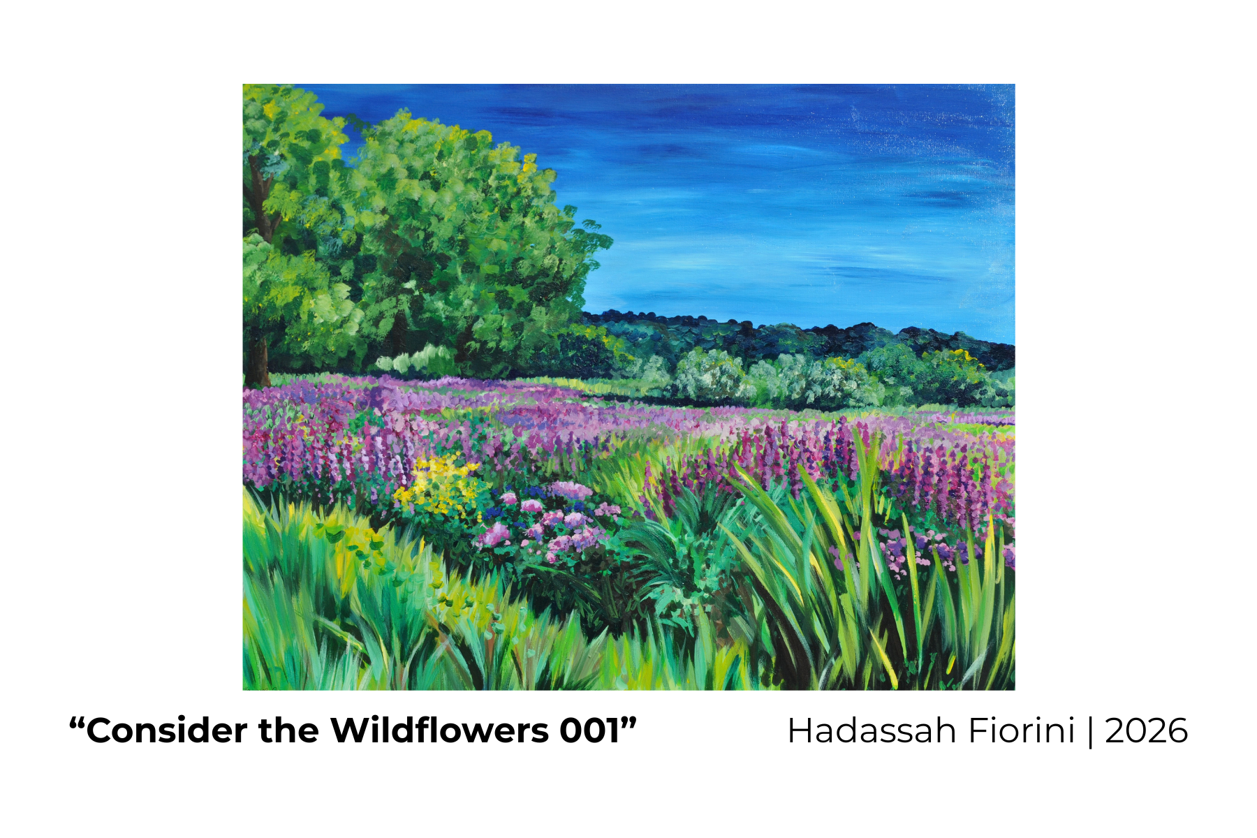 “Consider the Wildflowers 002  Hadassah Fiorini  2026.png