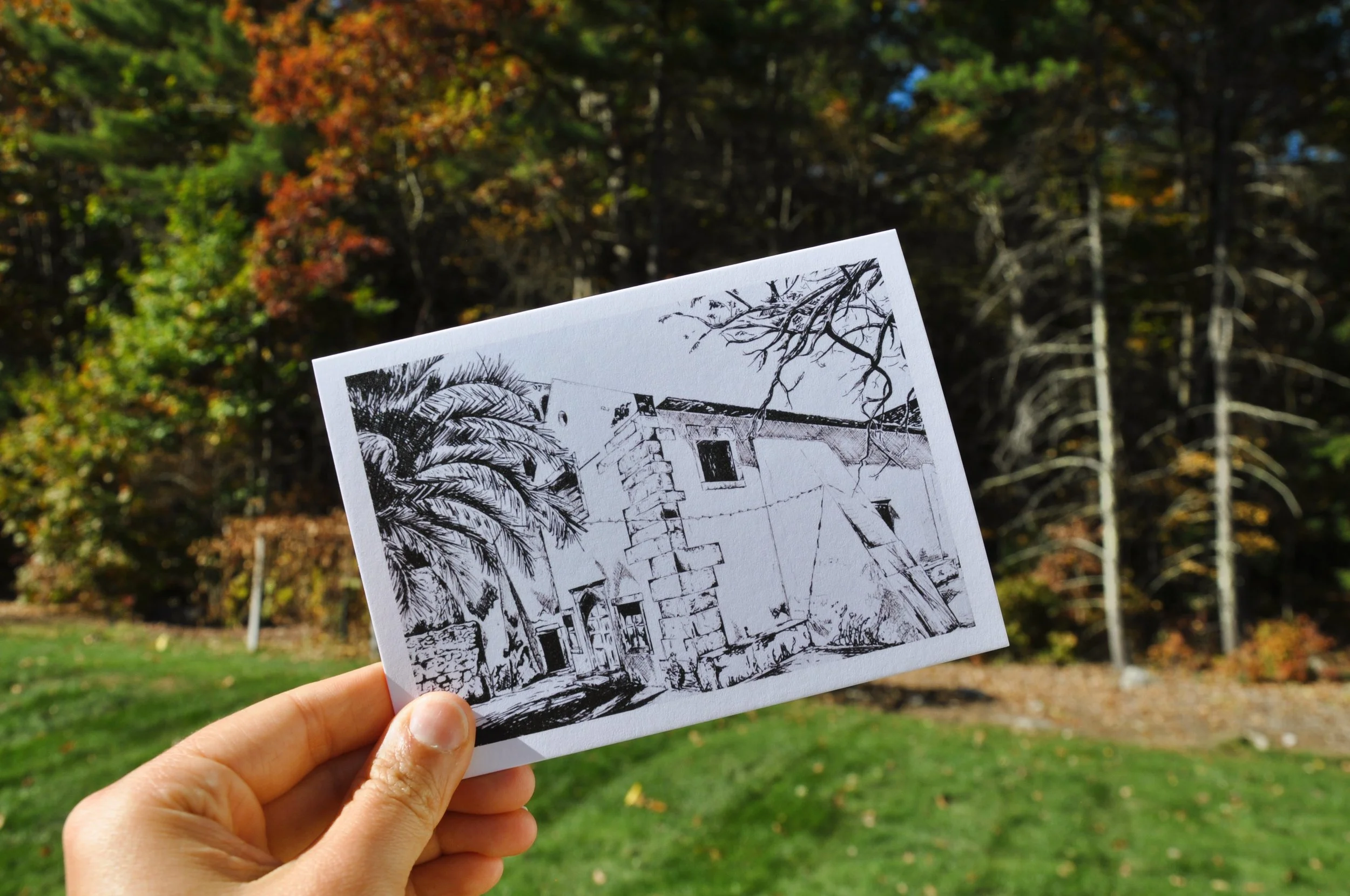 Local Artist Greeting Cards