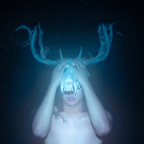 Album cover of Tiger Really Mayfly Daydream