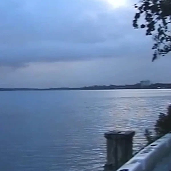 Album cover of 60 Juno Gray