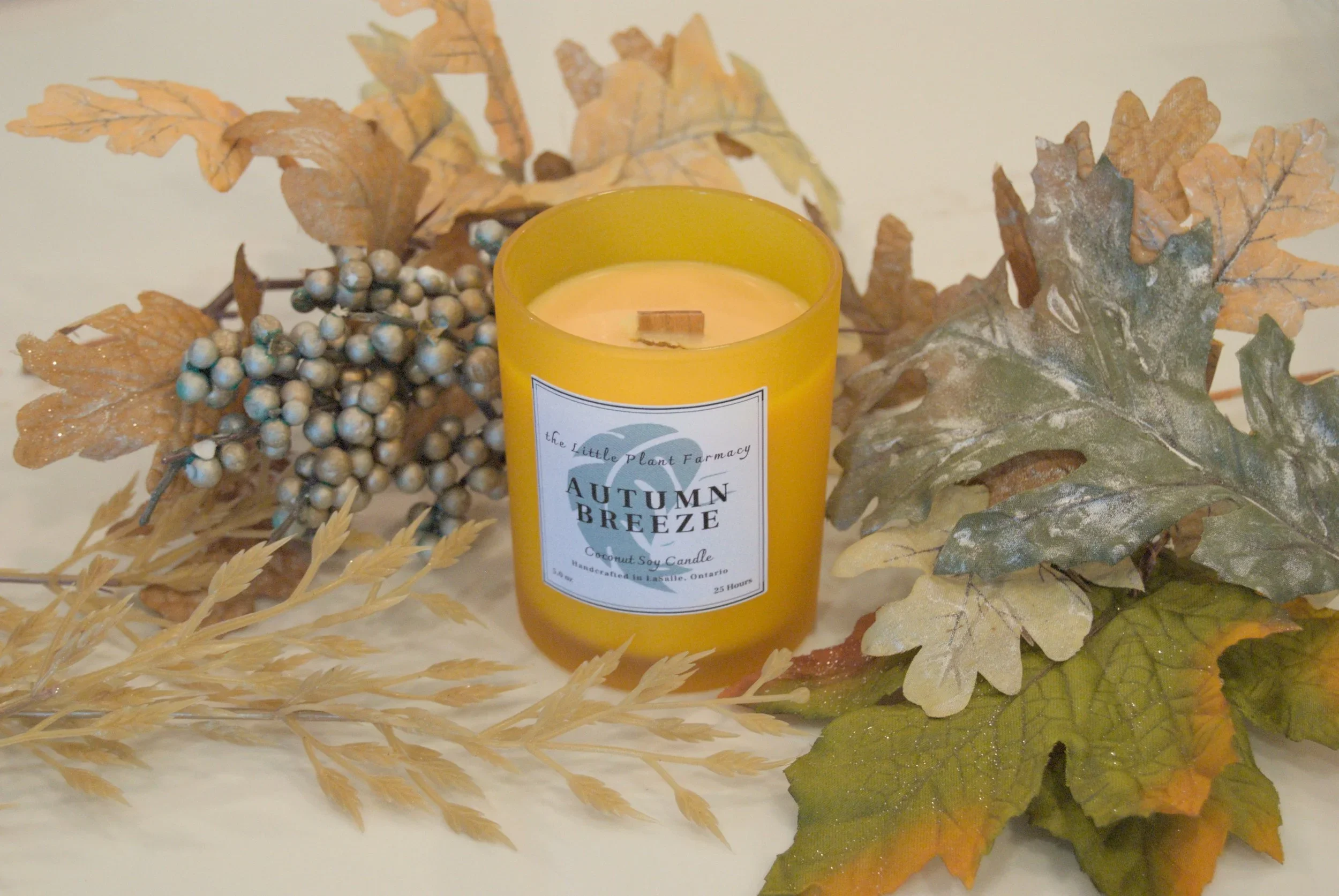 autumn_breeze_coconut_soy_candle.webp
