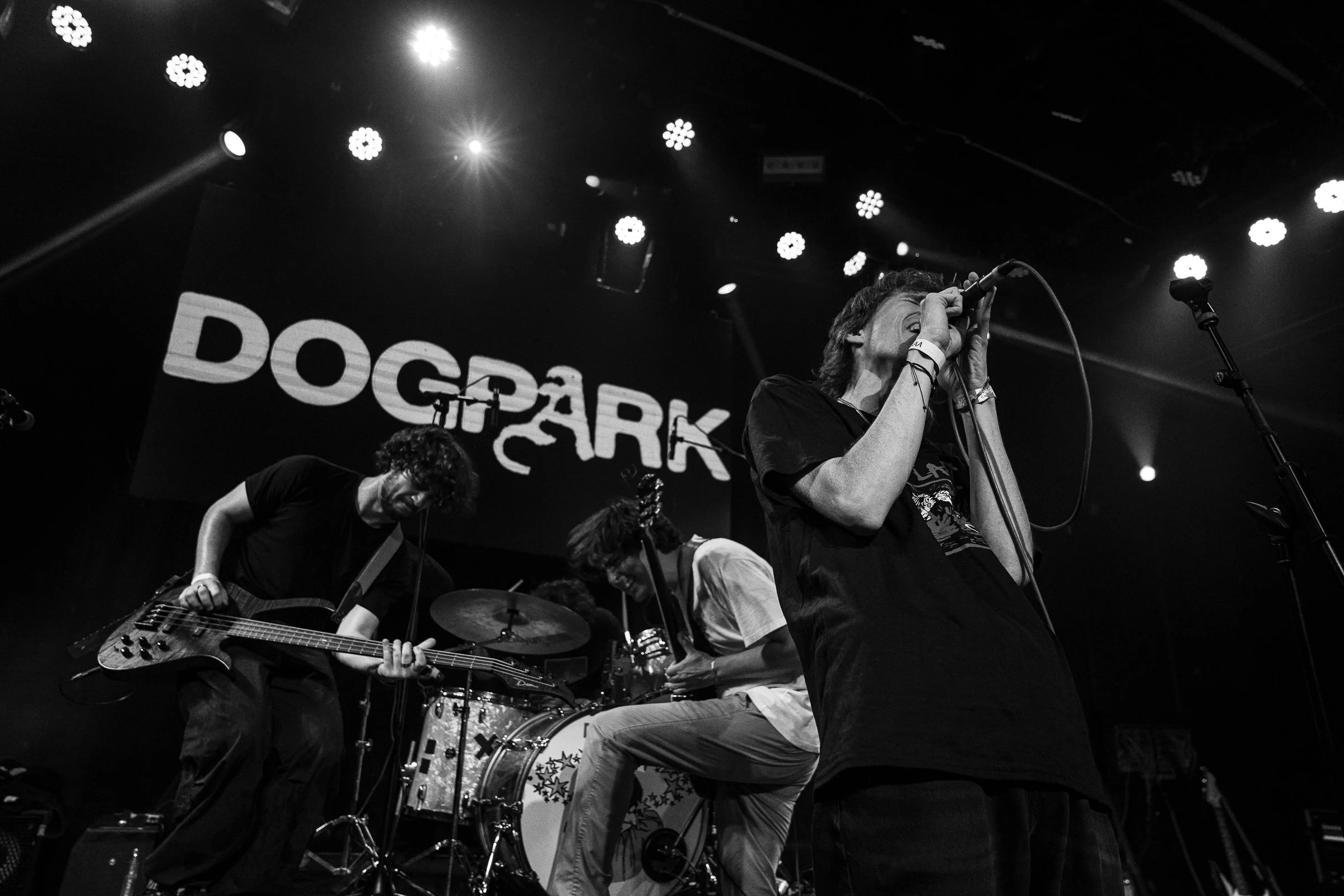 Dogpark-16.jpg