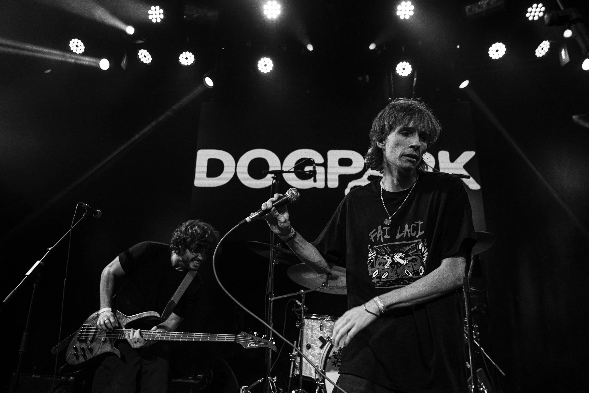 Dogpark-42.jpg
