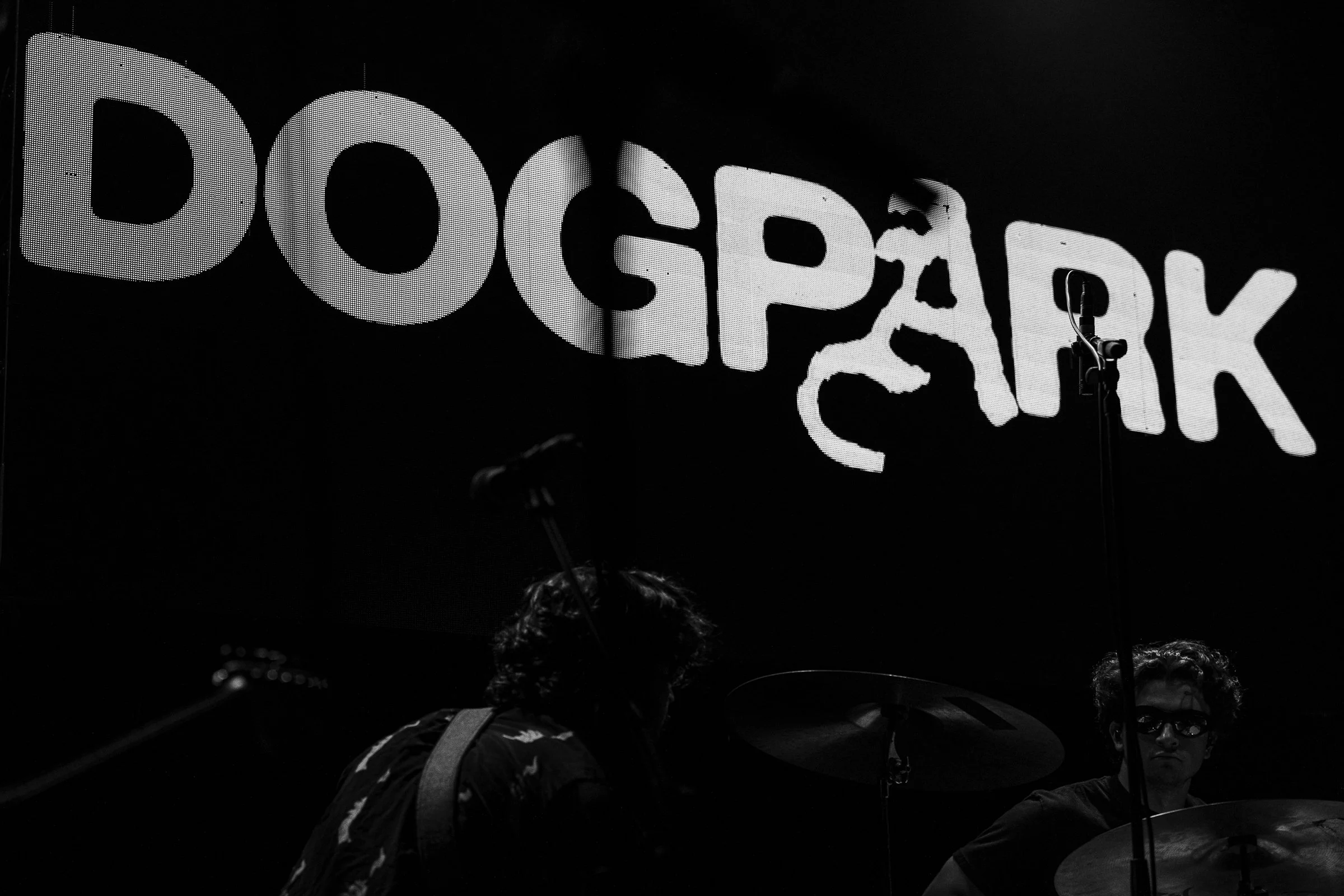 Dogpark-39.jpg