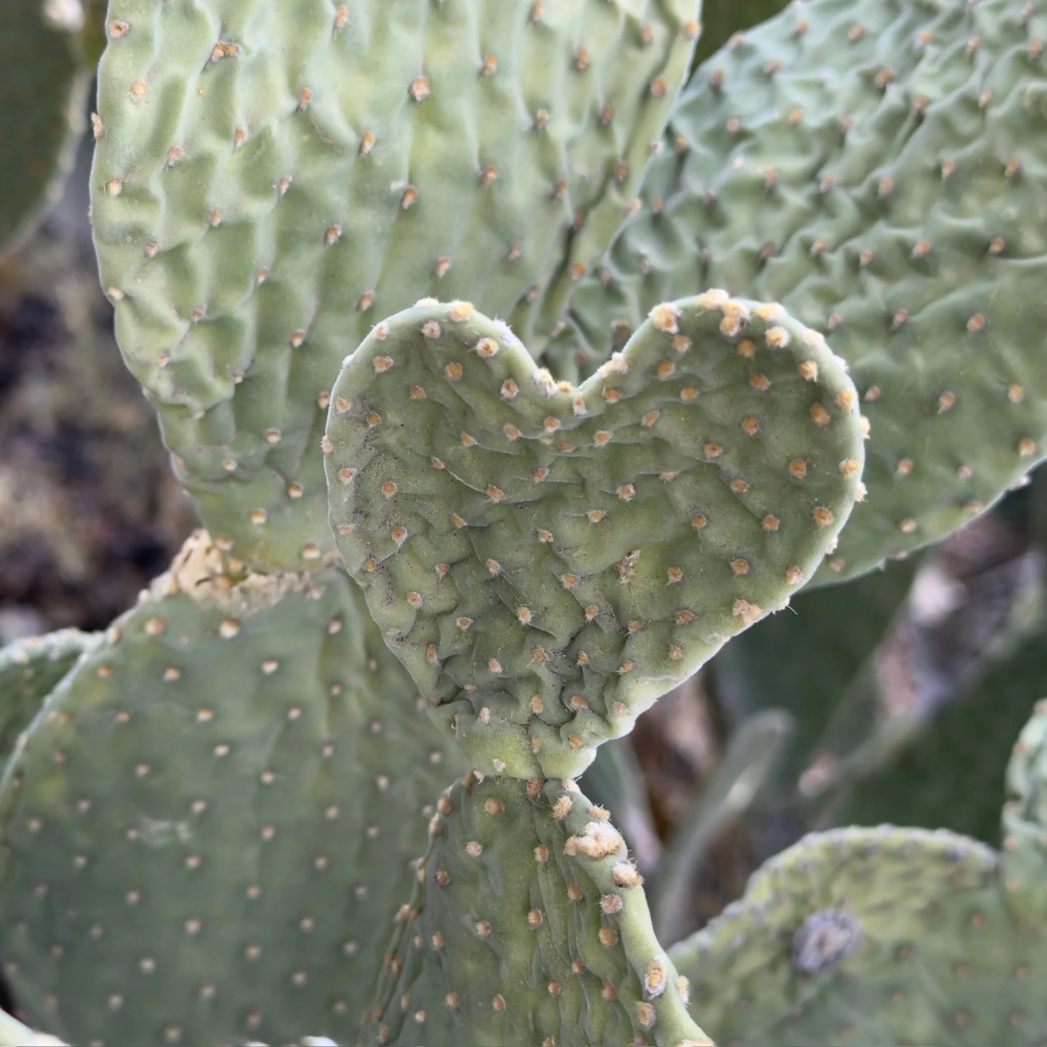 Does your child struggle with anxiety? 