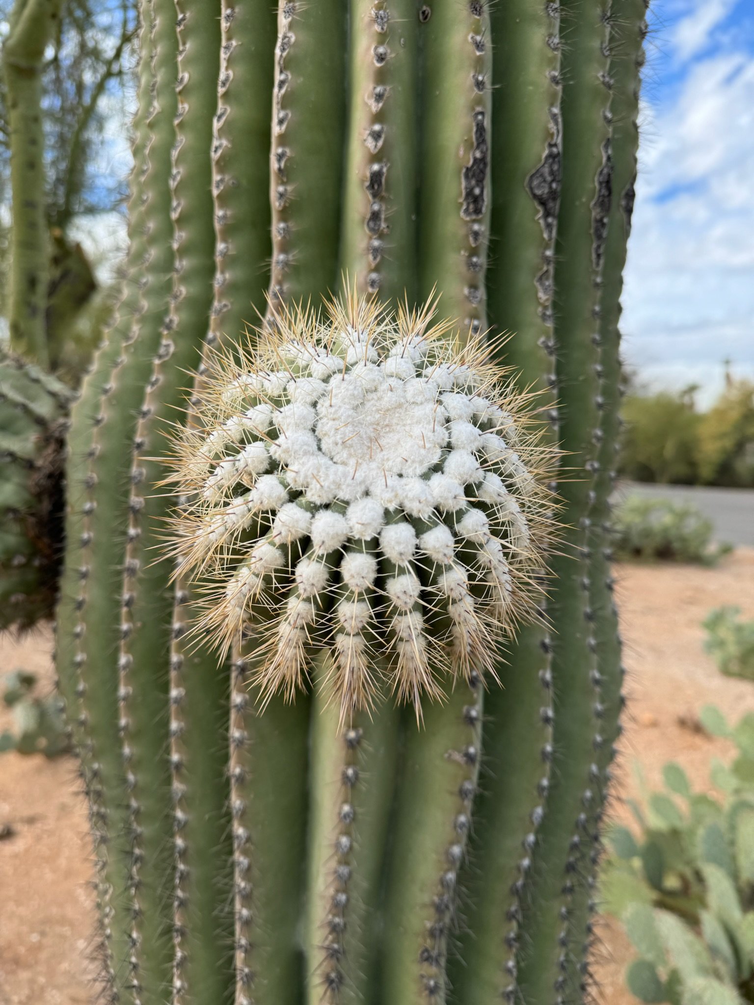 How Teletherapy Works (and why it may be just as effective as in person therapy)