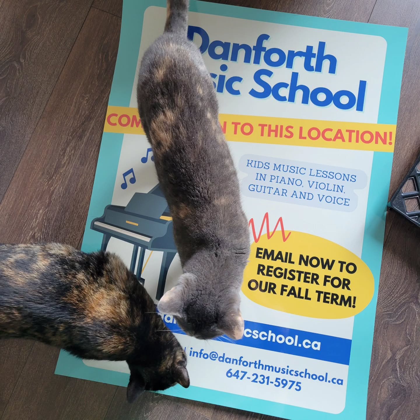 Two curious students inspecting our new poster! 🐈🎵❤️

 .
.
.
#toronto #torontoactivities #torontomusic #danforth #leslieville #riverdale #cats #catsoftoronto #music #musiclessons