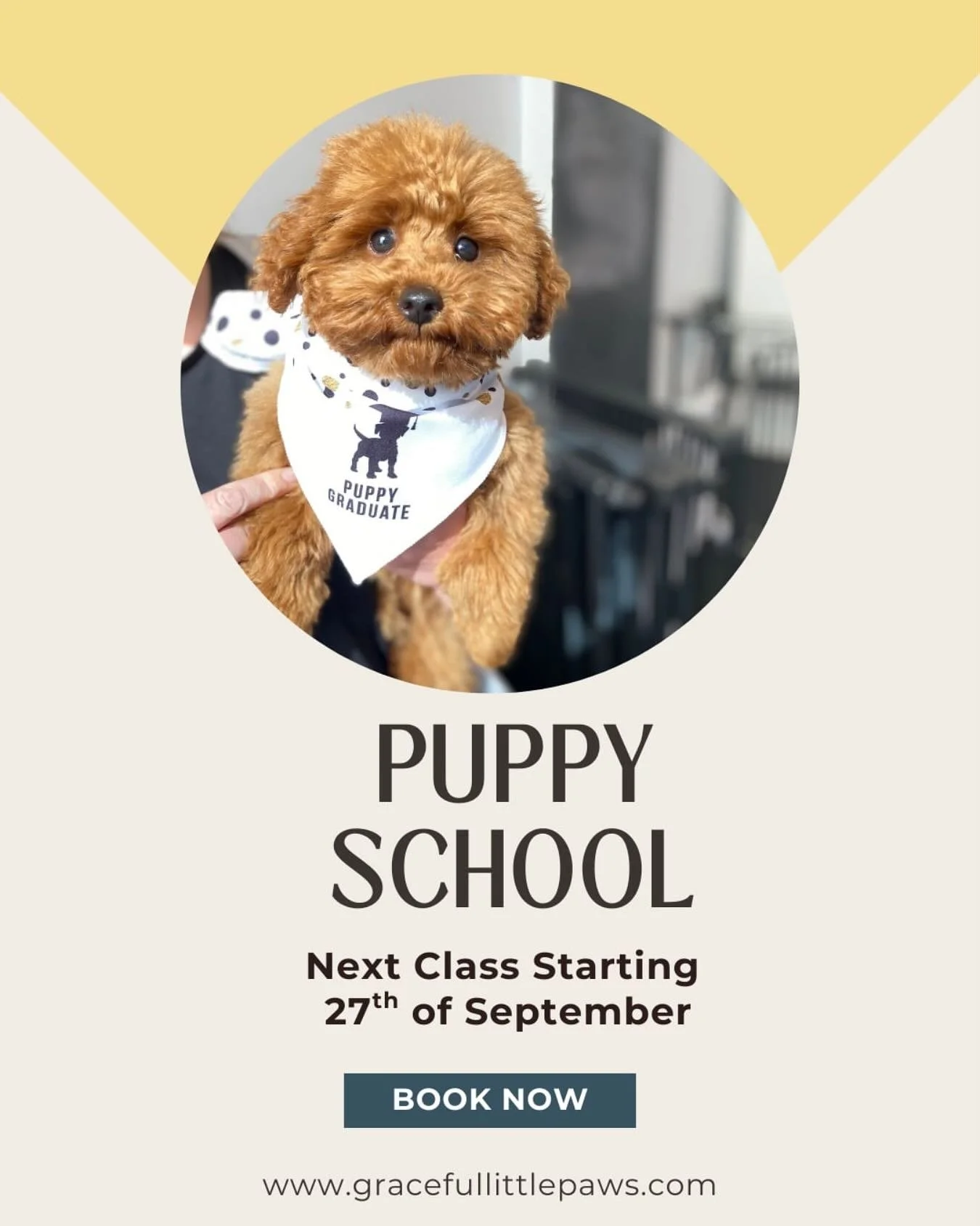 Now taking bookings for our next Puppy School!! 🐶🐾
4 Weeks starting Saturday the 27th of September at 2pm!! 
Spots book fast!! 🐶