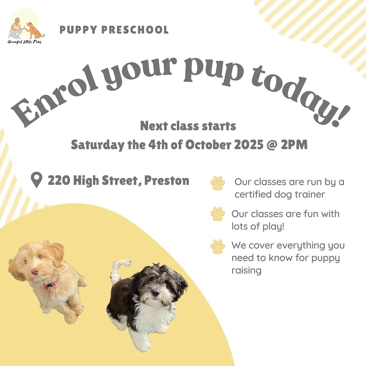 We have postponed class to start on the 4th of October!
Next class starts in 2 weeks!!

Book via bio! 🐶🐶