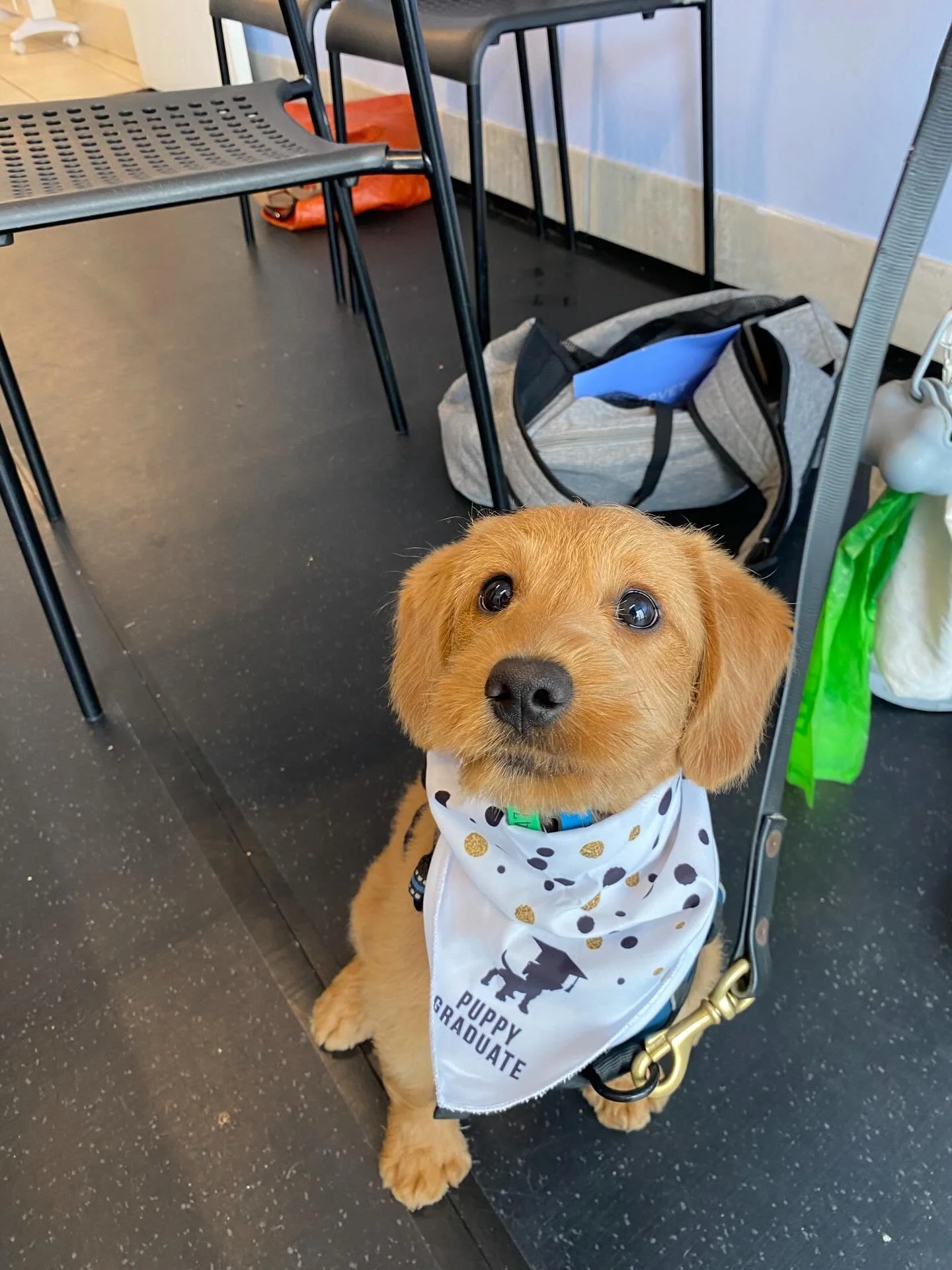 These cuties graduated!! 🎓