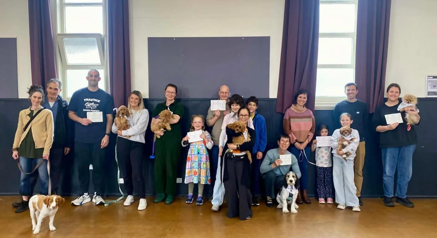 These puppies graduated!!! 🎓🎓