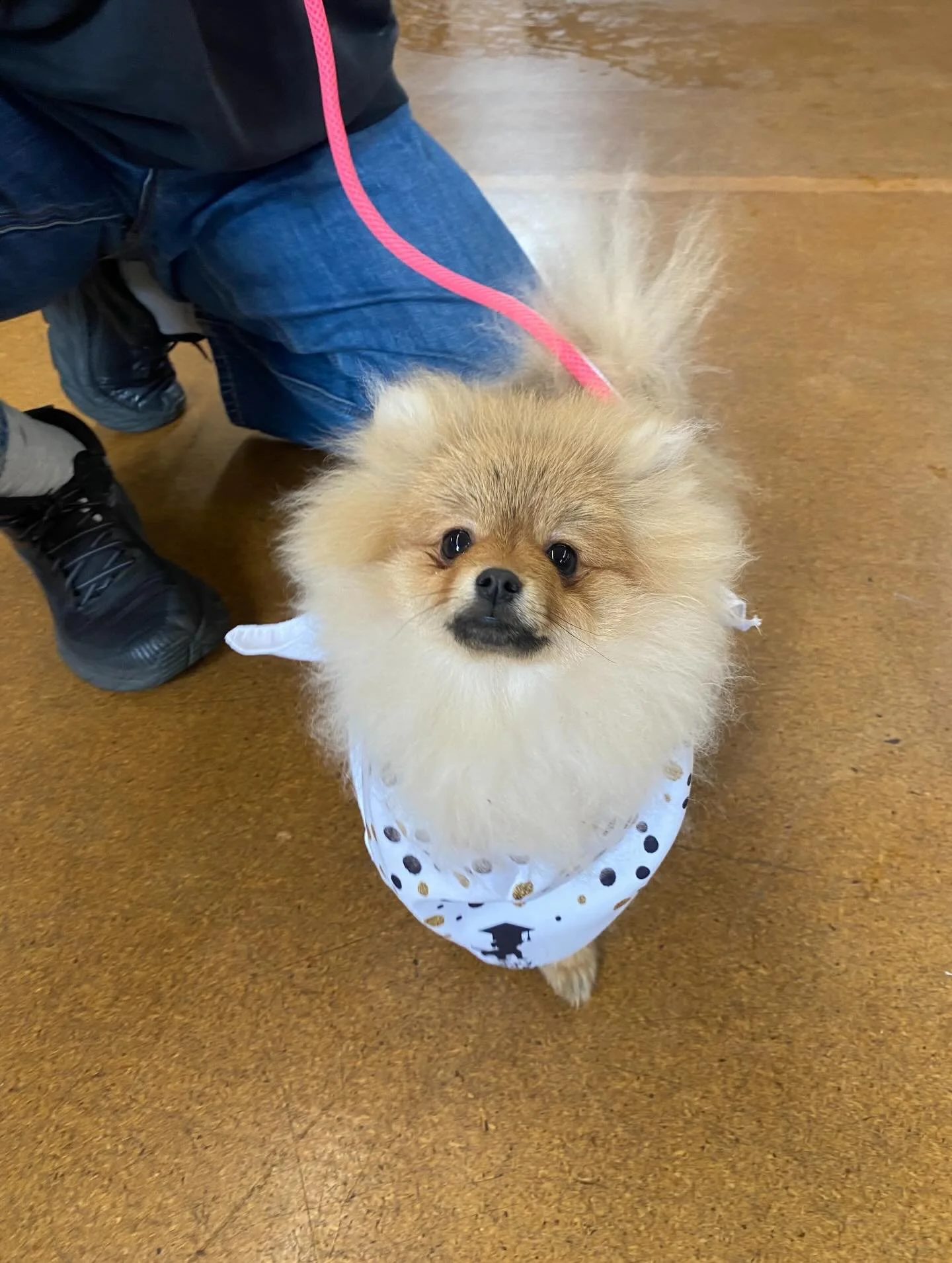 Look at these cuties that graduated! 🥰🥹