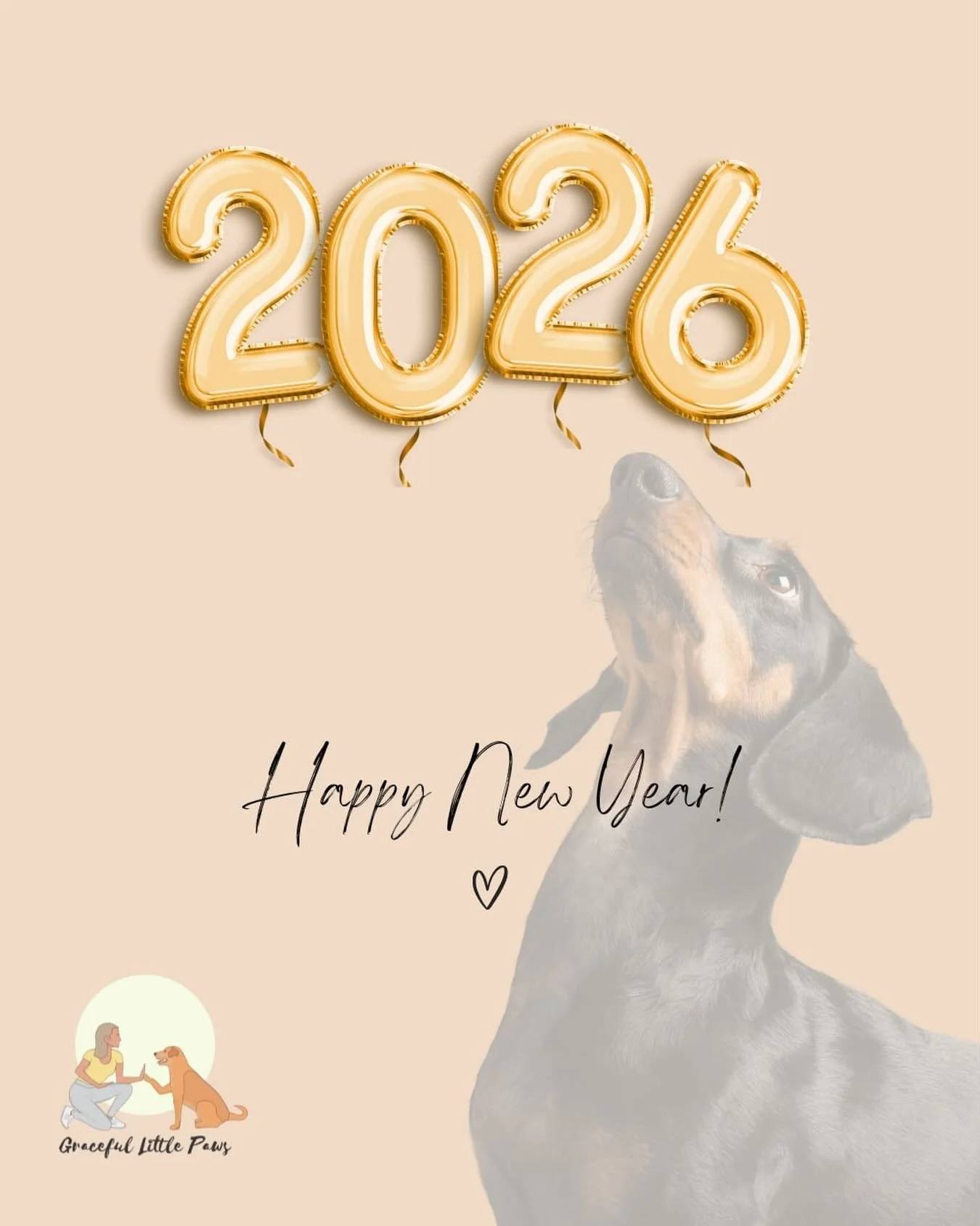 Happy New Year from Graceful Little Paws ✨🐶
Even though it&rsquo;s a few days into January (hey, we&rsquo;re all easing back in 😅), I just wanted to say THANK YOU for all the support in 2025, Bring on 2026!