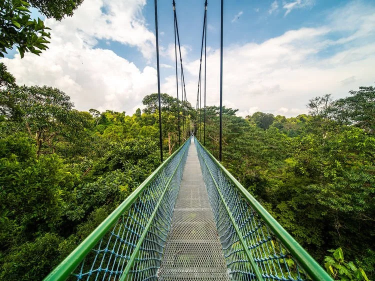 Singapore Travel &amp; Souvenirs