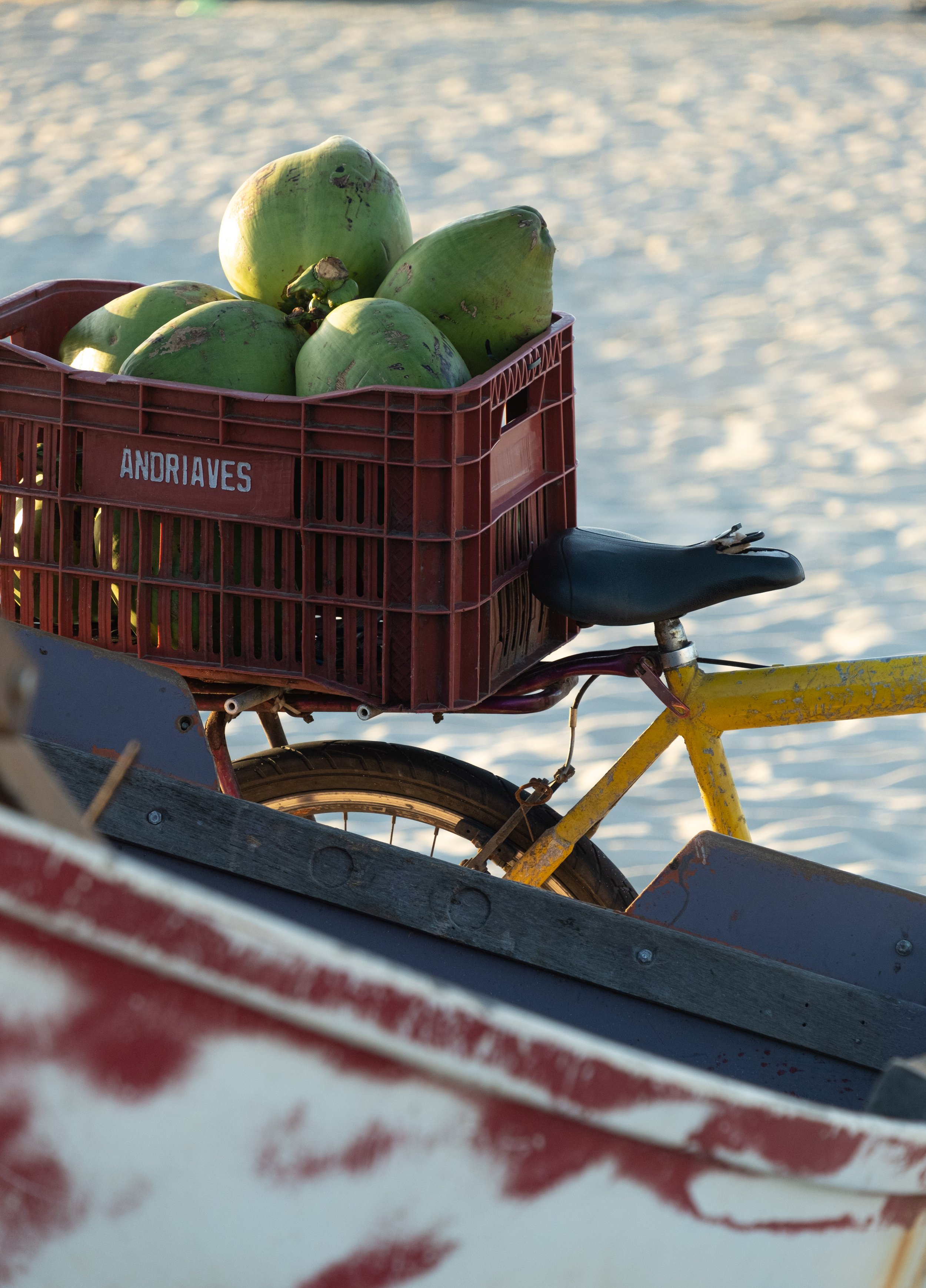 Coconut Transport