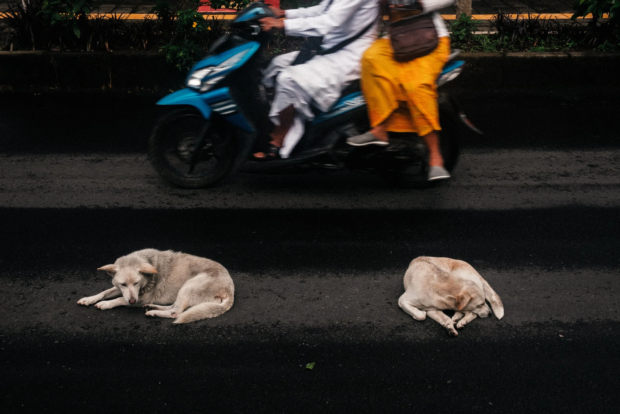 bali3stars-29.jpg
