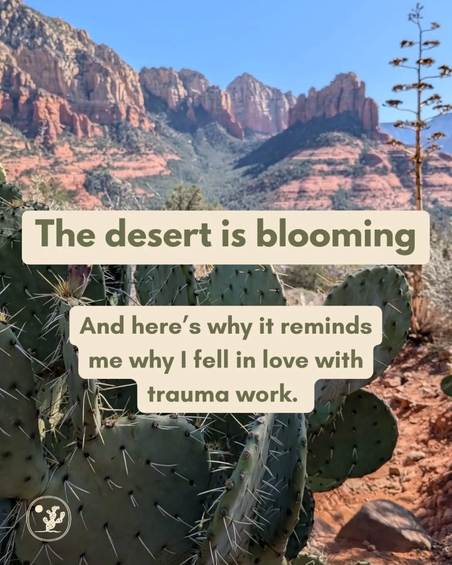 If my business name isn't a dead giveaway, I'm obsessed with these blooms 🫣

Featuring these lovely gals:
🌵 Prickly pear cacti in Sedona AZ and Coyote Gulch, UT. 
🌵 Saguaro's outside of Phoenix 
🌵 Agave blooms in Sedona 
🌵 Ocotillo in Sedona 

-