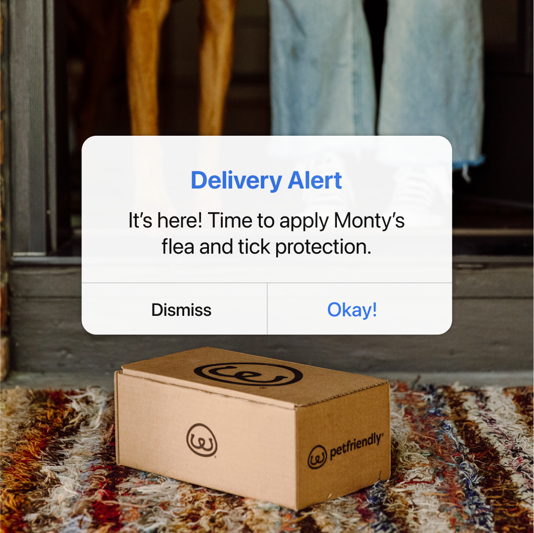 PetFriendly_August 2023_Notification V1_feed.png