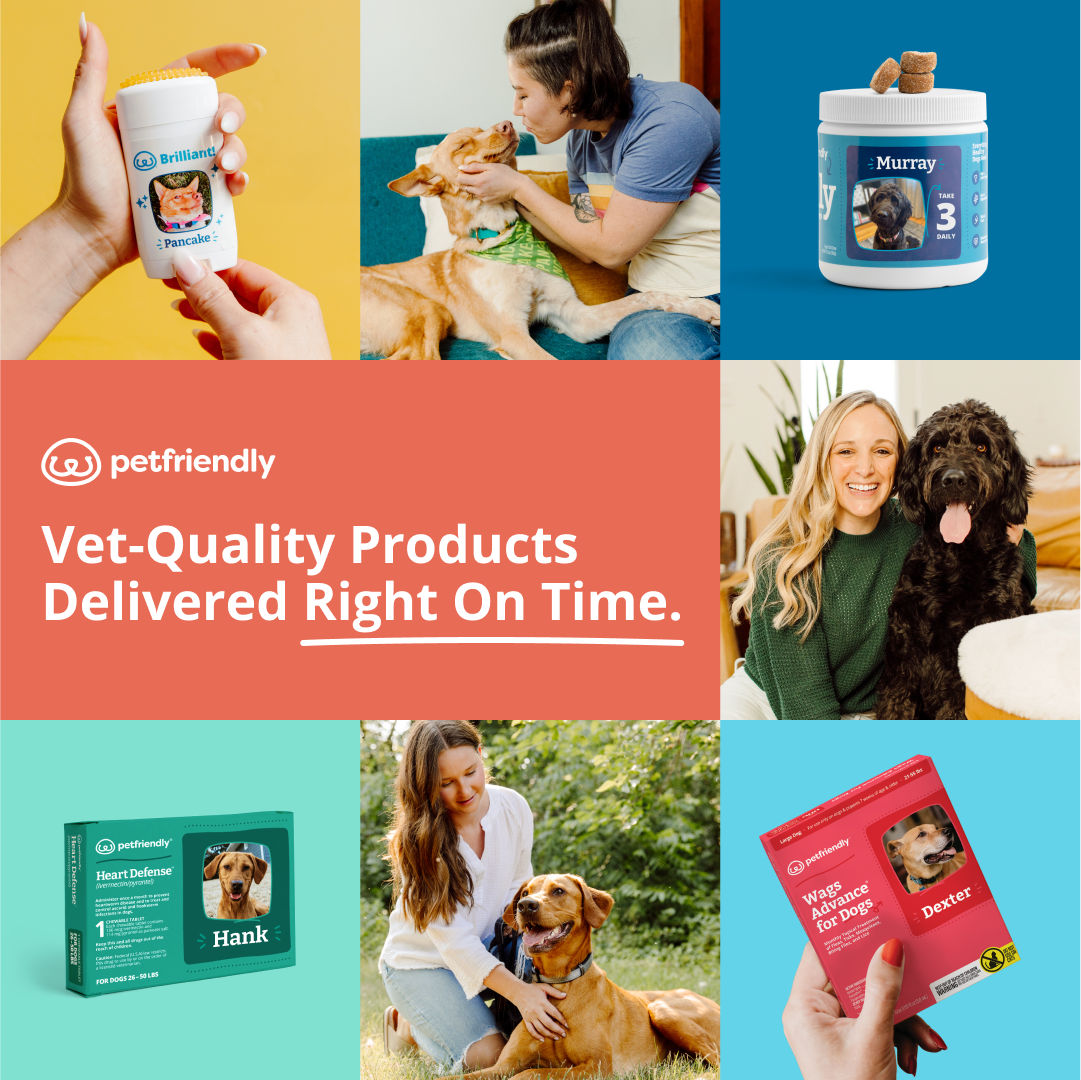 PetFriendly_August 2023_Image Grid_feed.png