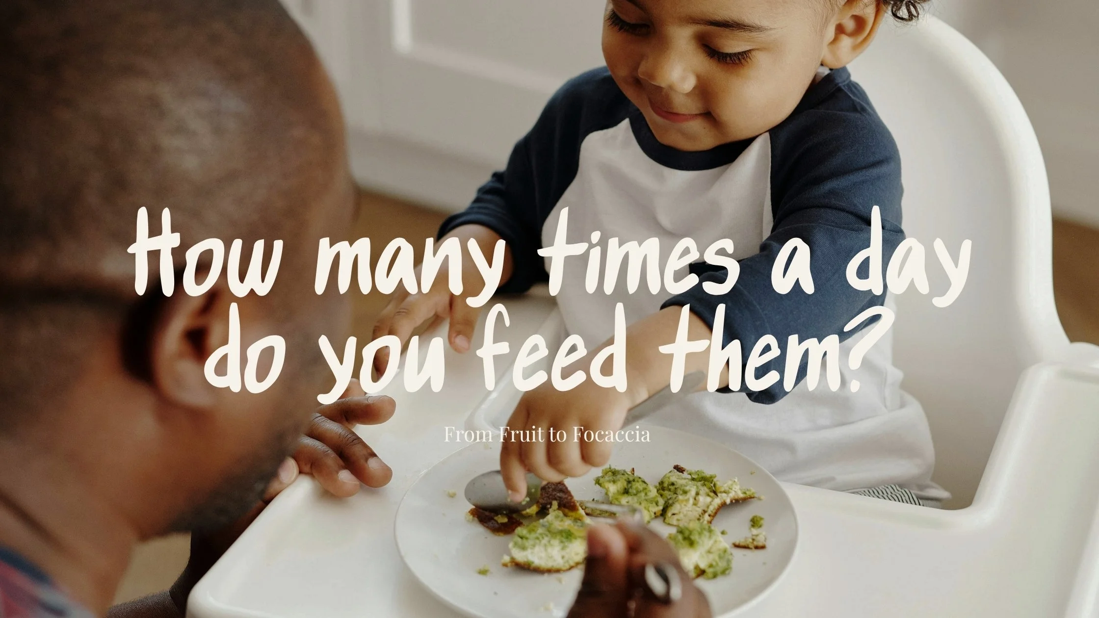 How many times a day do you feed them?