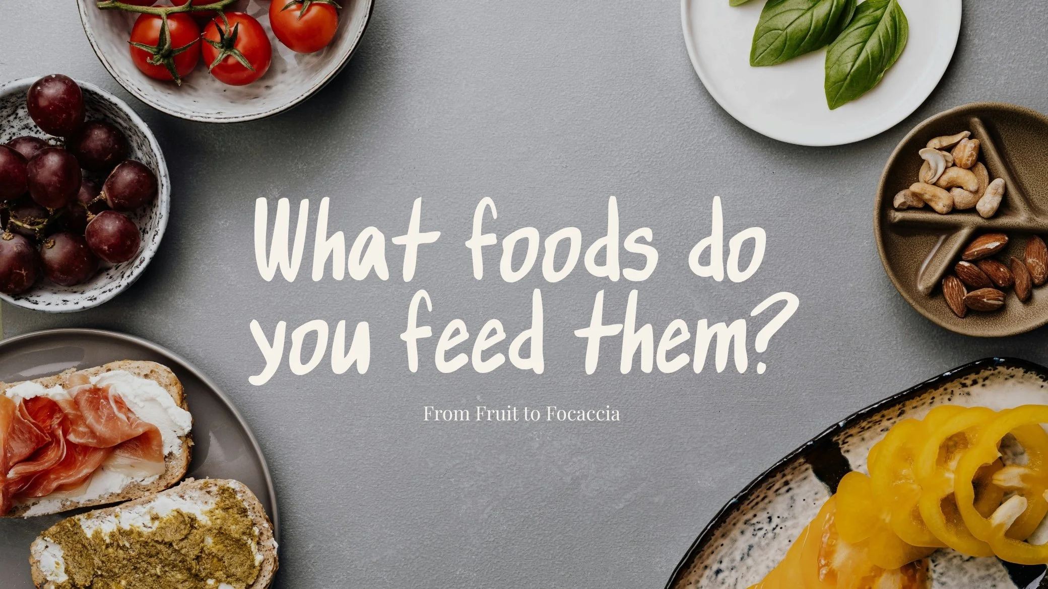 What do you feed them?