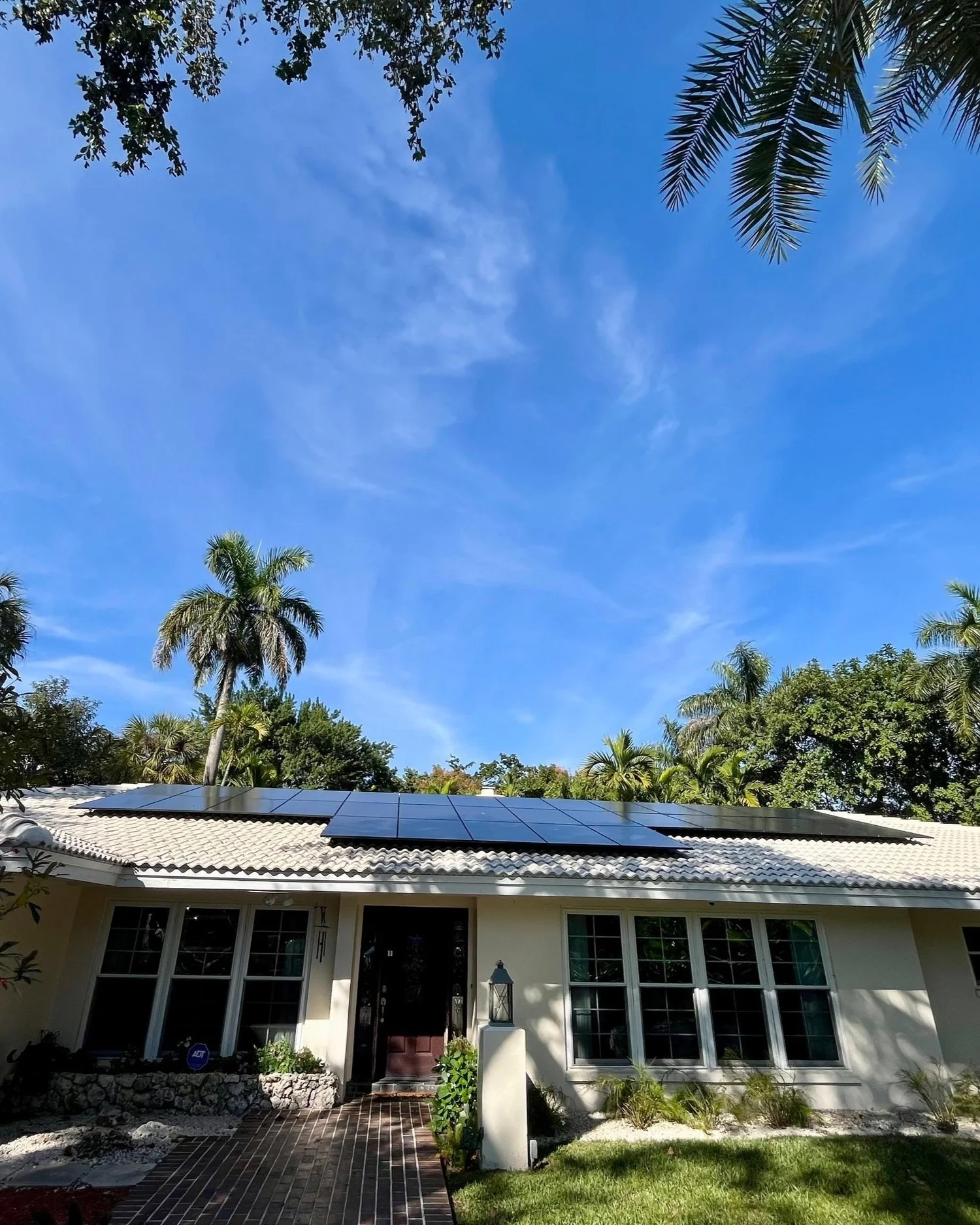 WhatsApp Image 2025-01-31 at 00.20.55_eb2009cb.jpg