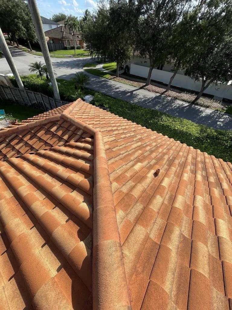 2024-08-01 02_33_26Z.jpeg