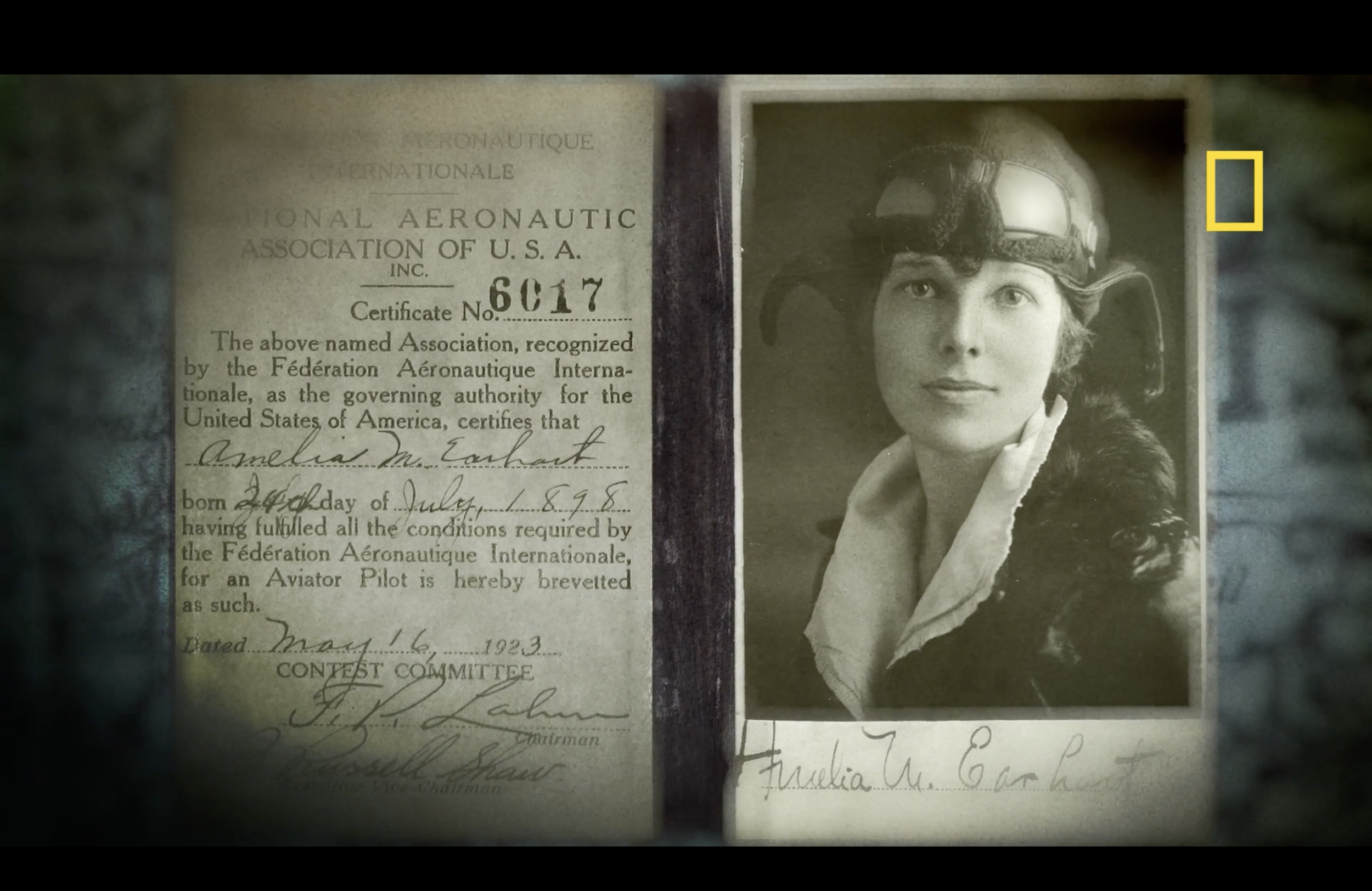 Amelia Pilots License.png