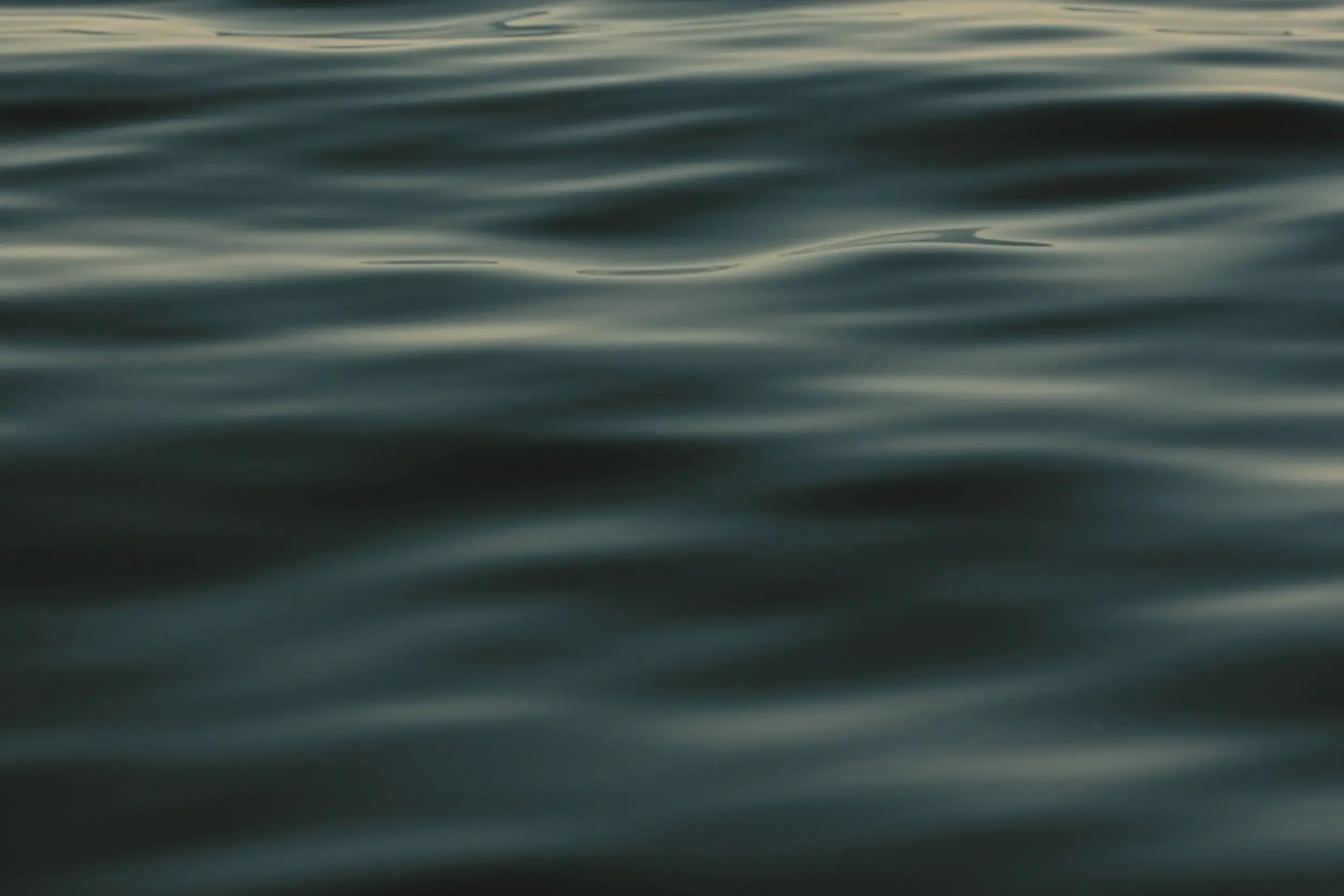 Close-up of smooth, dark skin in low light, showing texture and natural sheen.