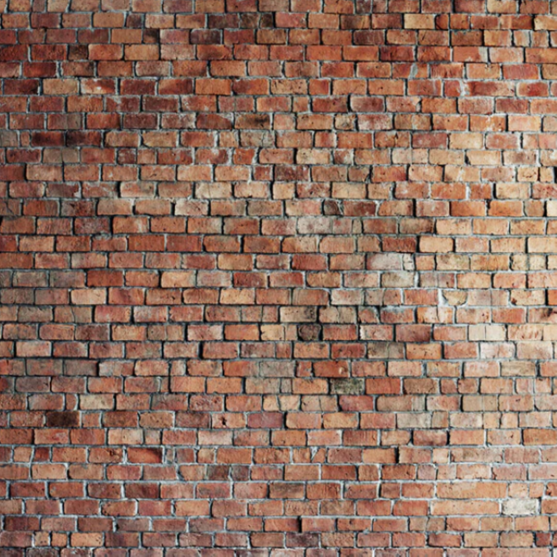 Brick Wall Photobooth Backdrop Kansas City