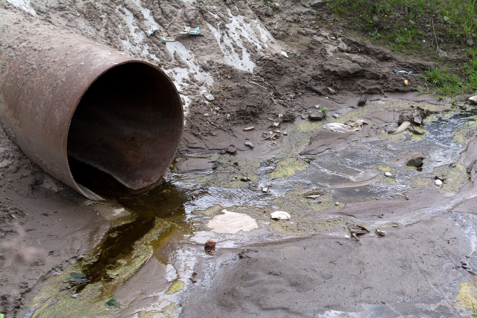 Brain-Worm Man Dunks Kids in Raw Sewage