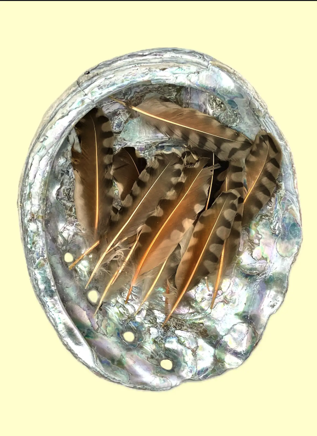 Screenshot 2025-09-23 at 10.14.12 AM.png