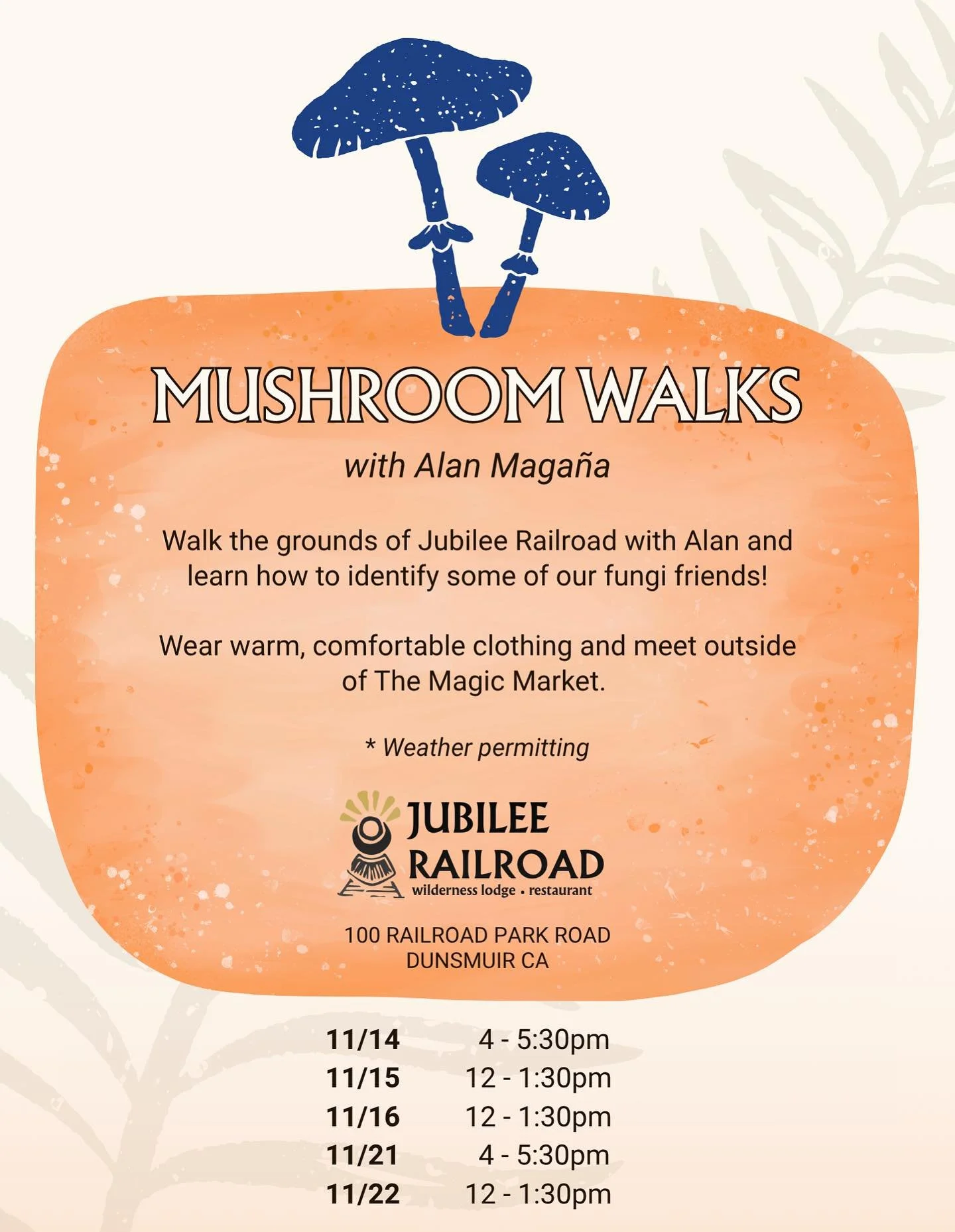 Step into the autumnal magic of Jubilee Railroad and meet our local fungi friends! Join Alan as he guides a gentle walk across the grounds, teaching you how to identify some of the mushrooms that thrive here beneath the trees.

Bundle up, bring your 