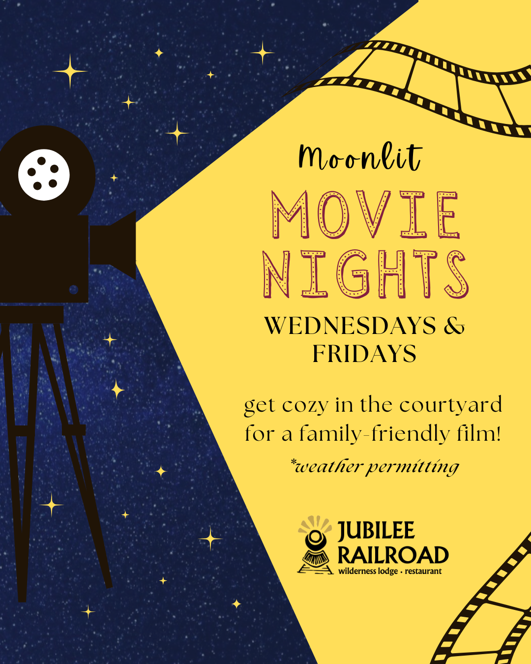 Moonlit Movie Night